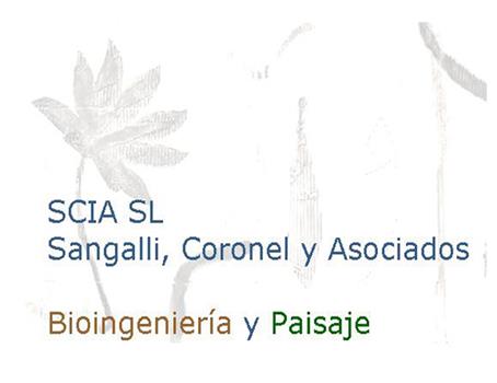 SCIA logo